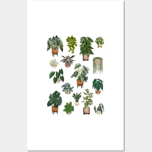 House plants collection 5.12 Posters and Art